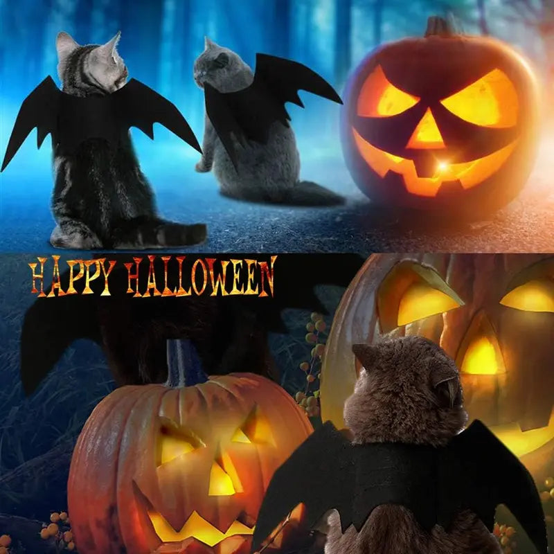 Pet Cat Bat Wings Halloween Costume – Adjustable Felt Bat Outfit for Cats & Small Dogs | Funny Pet Cosplay Dress-Up Accessory Puoyis