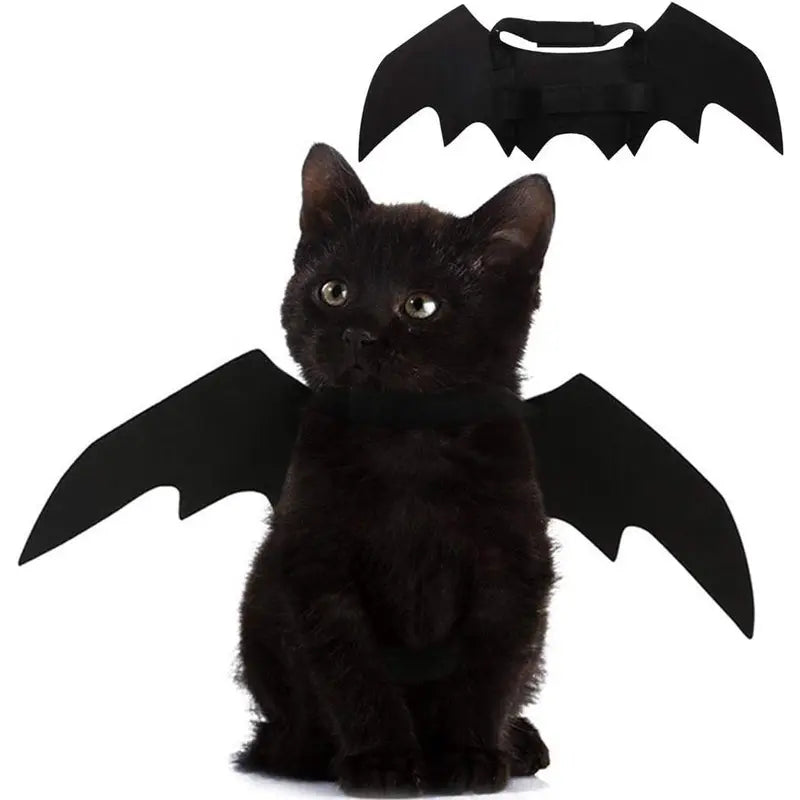 Pet Cat Bat Wings Halloween Costume – Adjustable Felt Bat Outfit for Cats & Small Dogs | Funny Pet Cosplay Dress-Up Accessory Puoyis
